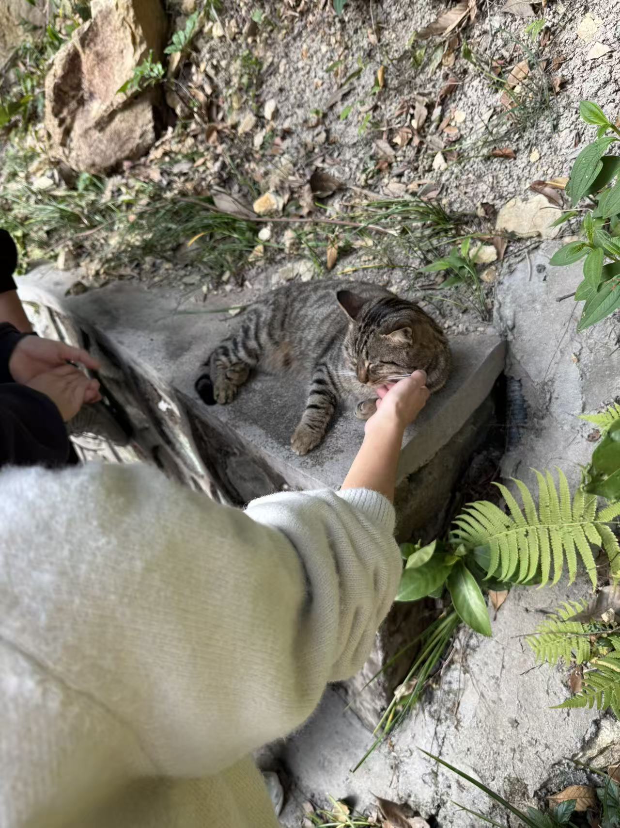 2025年底白云山之行